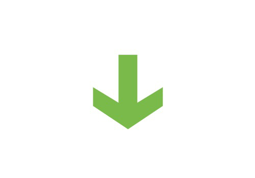 Down Arrow Icon